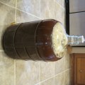 The Basics of Yeast for Home Beer Brewing Beginners